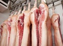 top grade aaa frozen pork meat , pork tail,pork feet - product's photo