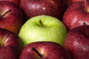 fruits fuji apples - product's photo