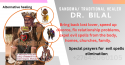 love spells +27648060105 love spell jar in manzini, kentucky , brühl b - product's photo
