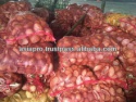 dried coconut copra - product's photo