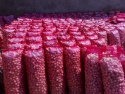 fresh red onions - product's photo