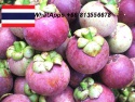 mangoteen, thai mangoteen, mangoteen freeze, thai fruits - product's photo