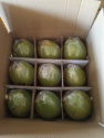 fresh coconut whole green - product's photo