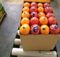 orange  - product's photo