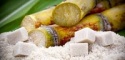 white suger - product's photo
