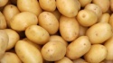potato for sale  - product's photo