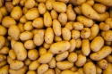 potato for sale  - product's photo