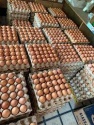 fresh chicken eggs - product's photo