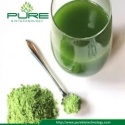 organic wheat grass powder - product's photo