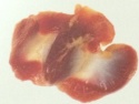 gizzards - product's photo