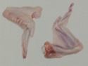 wings - product's photo