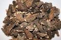 morel mushrooms  - product's photo