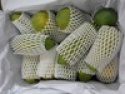 thai holland papaya - product's photo