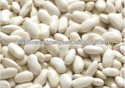 white kidney beans hps grade - product's photo
