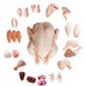frozen chicken feet or chicken paw - product's photo