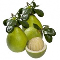 fresh pomelo for sale - product's photo