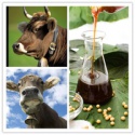 hxy organic bulk cattle feed  - product's photo