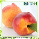 tinned yellow peach - product's photo