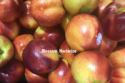 fresh nectarine white flesh - product's photo