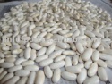 medium white kidney beans - product's photo