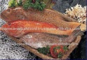 sea water fresh frozen fish - product's photo