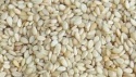white sesame seed - product's photo