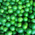  figs lerida - product's photo