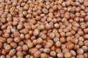 premium quality organic hazelnuts  - product's photo