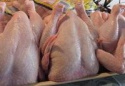 frozen whole griller halal chicken - product's photo